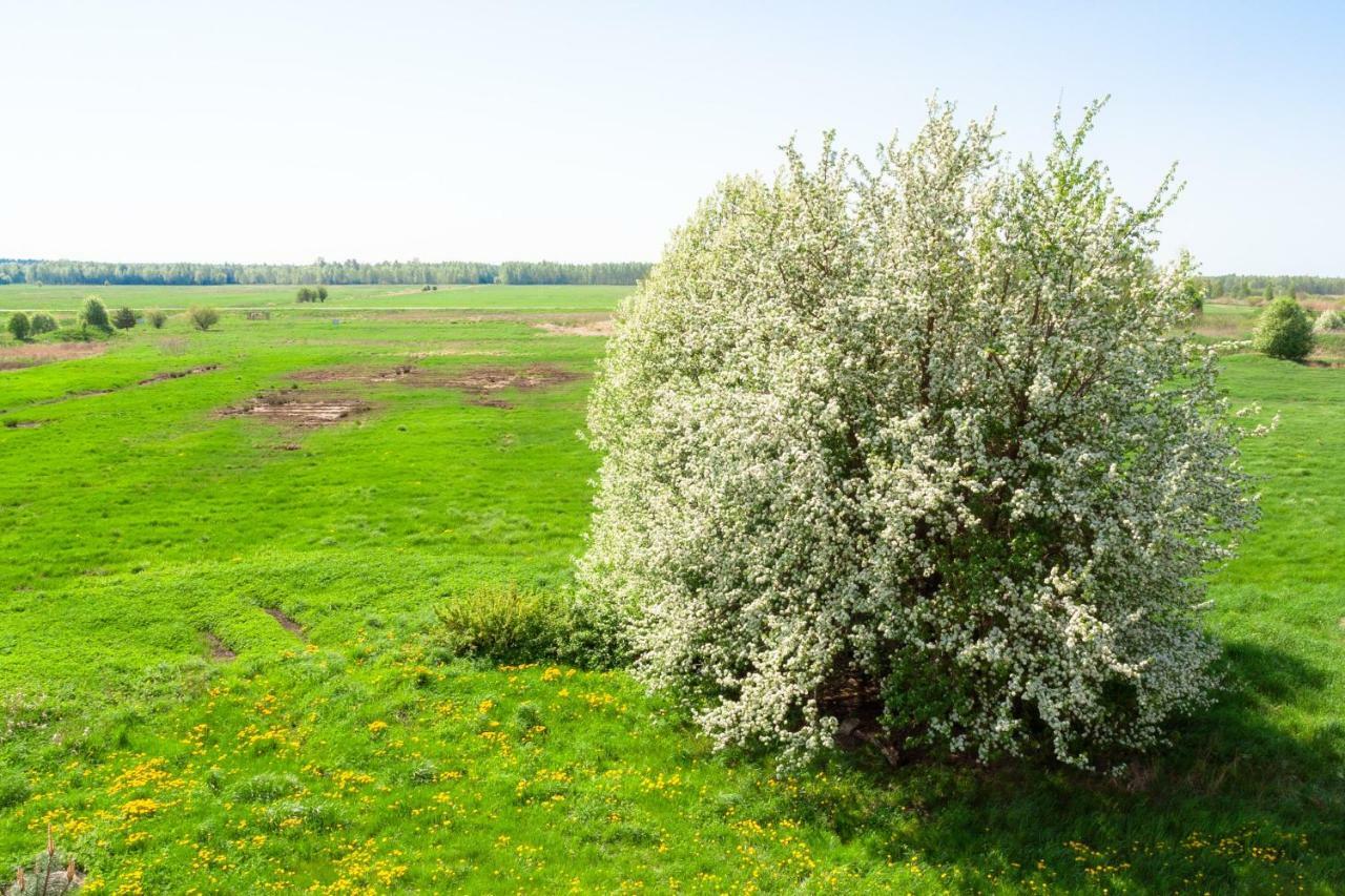 White Camomile Condo ซเวนตายิ ภายนอก รูปภาพ